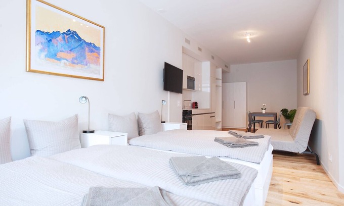 Basel City Centre Apartment | BS Hodler I - Marktplatz Hitrental Apartment