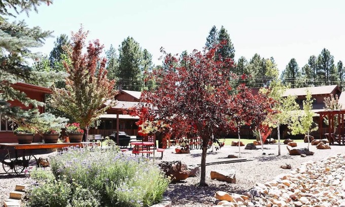 Pinetop Condo | Budget-Friendly Mountain Getaway in Pinehill, AZ