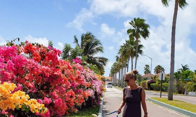 Nassau House | Budget friendly accommodation/Nassau 4 Solo Travelers only. Please read all TKS.