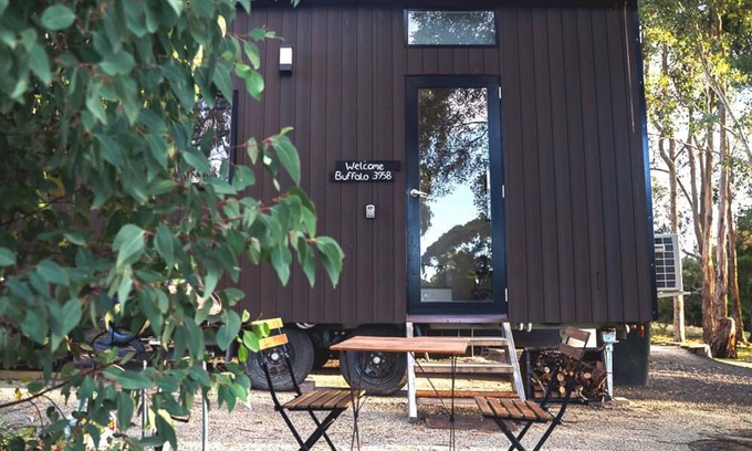 Buffalo House | Buffalo 3958 Summary: