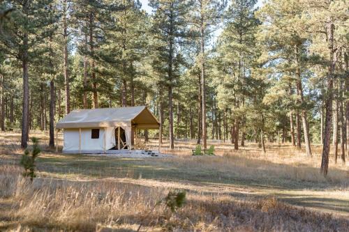 Custer House | Buffalo Canvas Tent