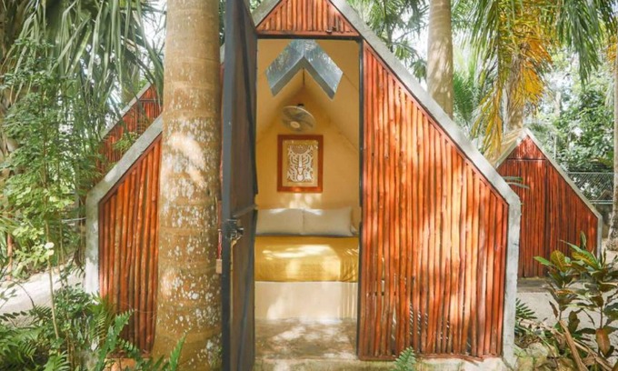 Pedro A. Santos Hotel | Bufo Alvarius Sanctuary