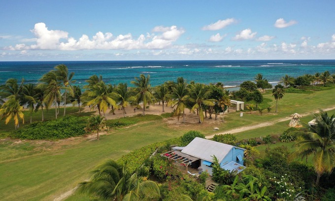 Morel House | Bungalove nThe garden, the beach. What else ?