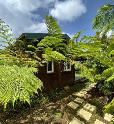 Le Morne-Rouge Ski Chalet | Bungalow à flanc de colline