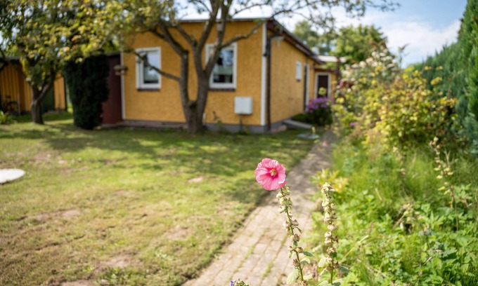 Neeberg House | Bungalow Appelboom - Bungalow 417