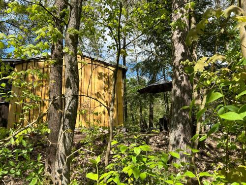 Coswig House | Bungalow Biberspur