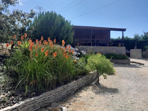 Viseu House | Bungalow da Pedreira