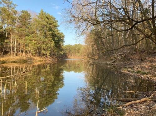 Coswig House | Bungalow im Wald am See - Biberspur