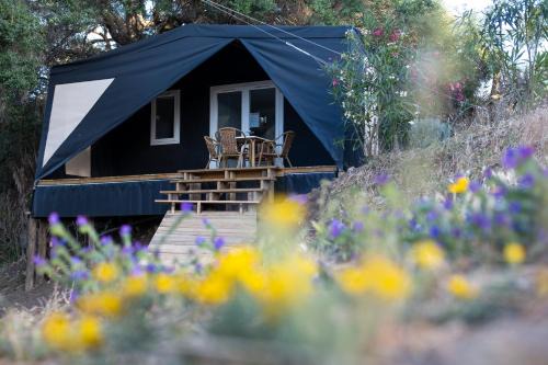 Bolonia Other | Bungalow Safari 1