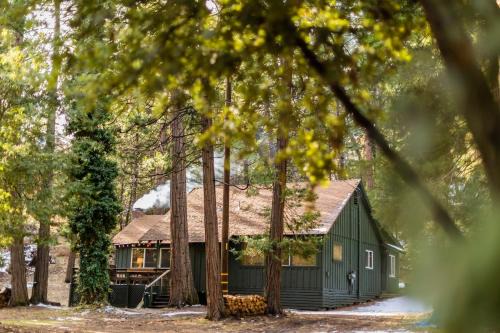 Camp Nelson House | BunkHouse 1960's Camp Vibe with Timeless Wet Bar