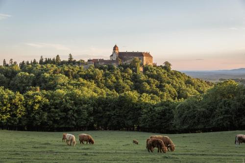 Bernstein Hotel | Burg Bernstein