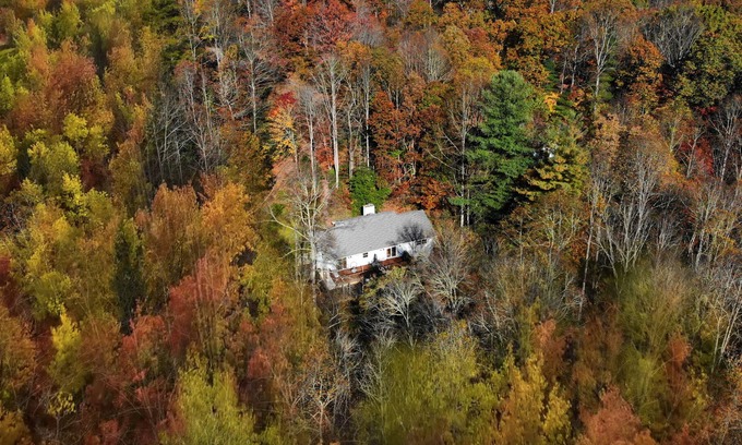 Skyland House | Buried in the Woods / Full of Art & Style / 10 mins drive to downtown Asheville