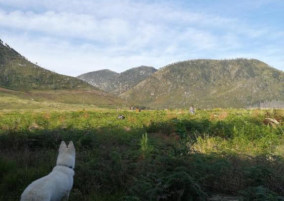 Storms River House | Bushman's Pillow