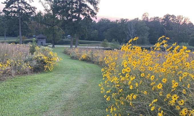 Pineville Other | Buster's Barn at Grant Farmn