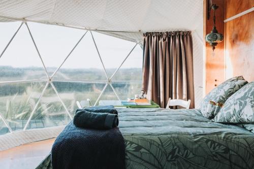 Te Akau Other | Buttercup Dome