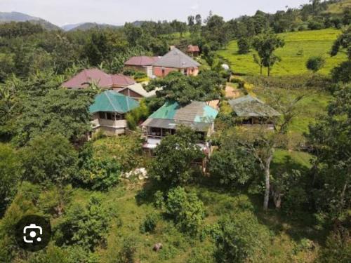 Kanungu Bed & Breakfast | Bwindi My Home