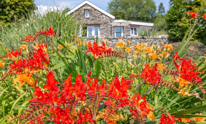 Beddgelert Cottage | Bwythyn Y Wennol