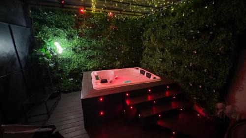 Villemomble Apartment | By nuit-parisienne : Superbe appartement avec SPA et terrasse privée