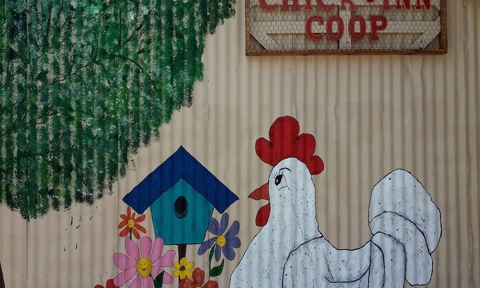 Shiner Other | BYRD'S FARMHOUSE CHICK-INN COOP