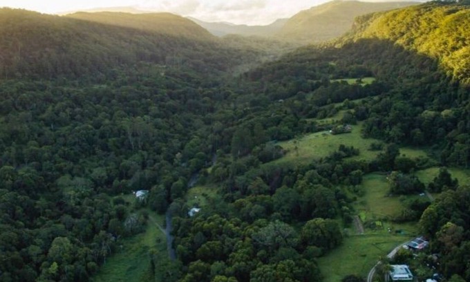 Mullumbimby Cottage | Byron Hinterland/Mountain Rainforest/Permaculture Farm - Pet Friendly!