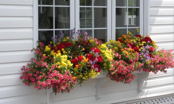 Grand Falls Bed & Breakfast | Côté's Bed & Breakfast