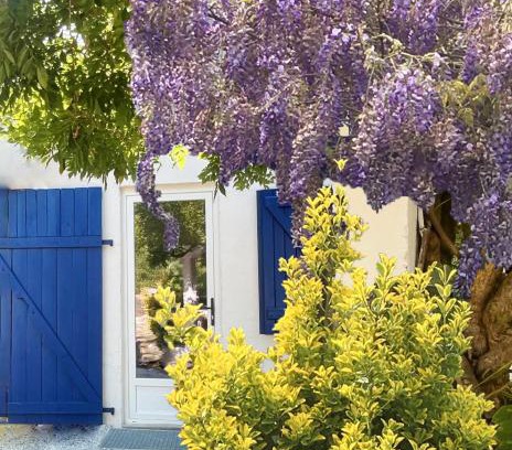 Mees House | C'est une maison bleue adossée à la forêt - avec longue durée possible