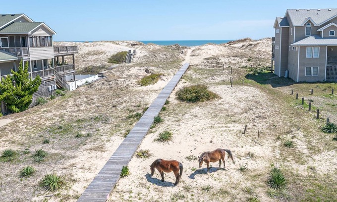 Carova Beach House | C9083 Cavallo Dunes. Oceanfront, 3 Bedrooms, Hot Tub, Pets OK, 4x4 Area