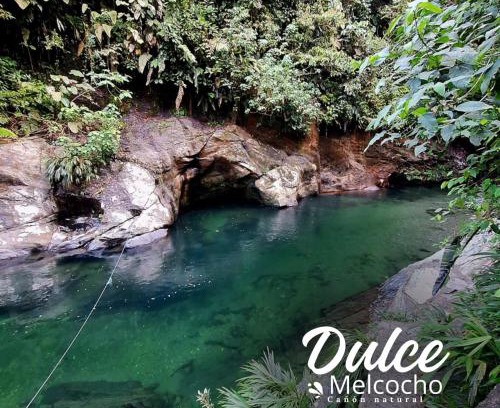 El Carmen de Viboral House | Cañón Dulce Melcocho