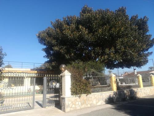 Algoda House | Ca Didi