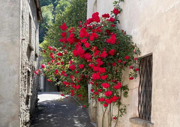 Gnosca Bed & Breakfast | Ca' Spontoi, Do-Minus Design Retreat & SPA