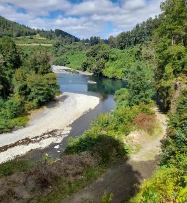 Lago Ranco House | cabaña el descanso