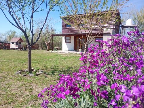 Cerro de las Rosas Apartment | Cabaña Mitimay