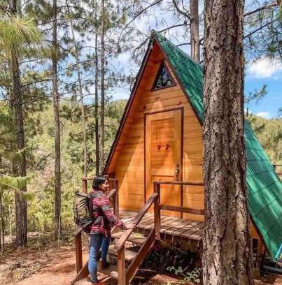 San Jose del Pacifico Ski Chalet | Cabaña privada en el bosque, cerca al rio Starlinkk