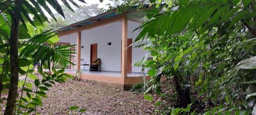 Lacanja Hotel | Cabaña Sak Ja Selva Lacandona