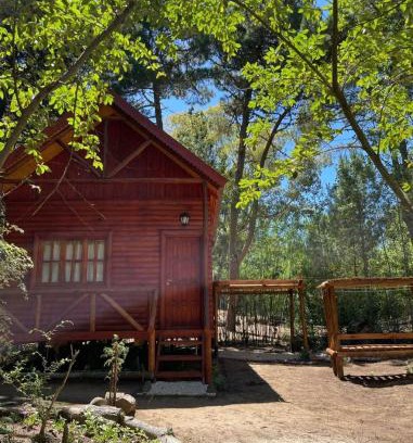 Aguas Verdes House | Cabañas Alquimia - Tu lugar de descanso