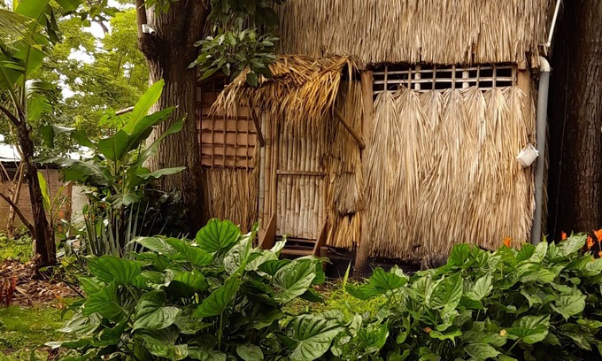 Balgue Cabin | Cabañas El Bamboo