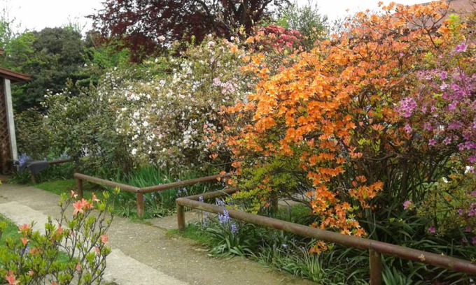 Valdivia Cabin | Cabañas El Jardin
