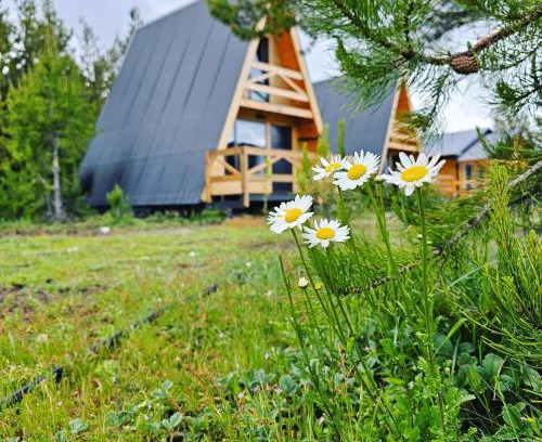 Moquehue House | Cabañas Entre Cumbres