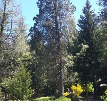 Puerto Manzano Cabin | Cabañas Las Maras