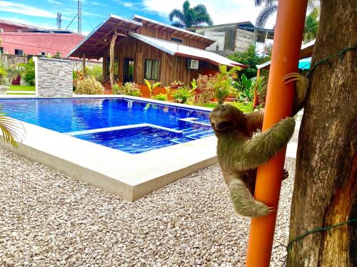 Barrio Pilo House | Cabañas Litos #2