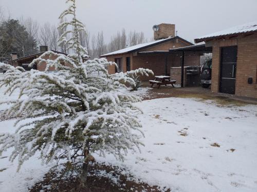 Rama Caida Cabin | Cabañas San Jose del Atuel