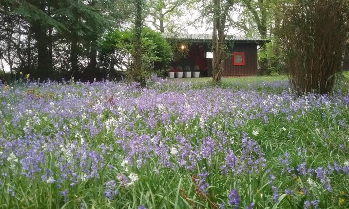 Cenarth Ski Chalet | Caban Cwtch