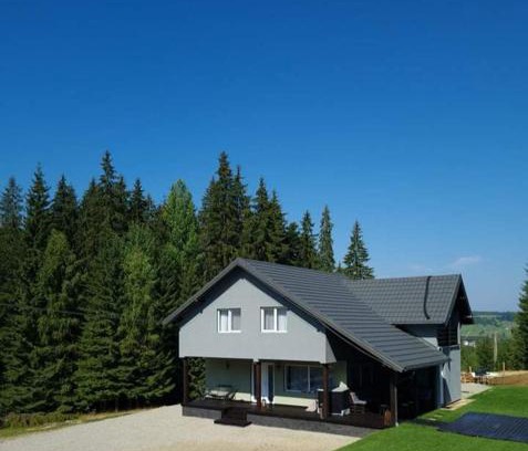 Dorna Candrenilor House | Cabana Brazilor