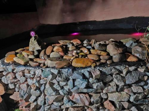 Palhoca House | Cabana da Bruxa