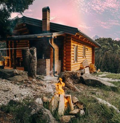 Budesti Cabin | Cabana Paulownia