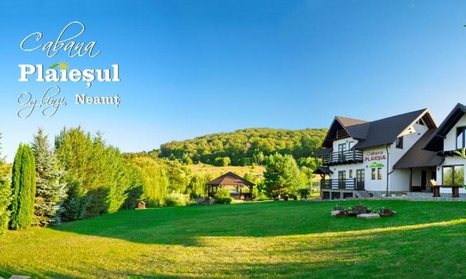 Tirgu Neamt House | Cabana Plăieșul