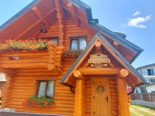 Gura Humorului Ski Chalet | Cabana Razesilor