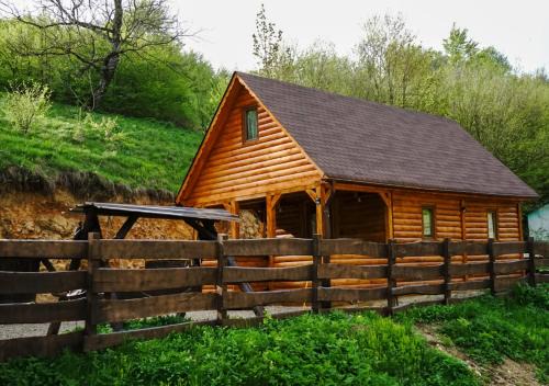 Anina House | Cabana Staier