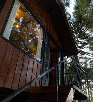Lages Cabin | CabanadaArvoreSalto