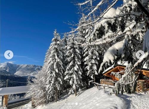Borsa House | Cabanele silvania 1